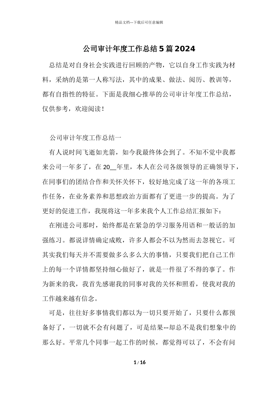 公司审计年度工作总结5篇2024_第1页