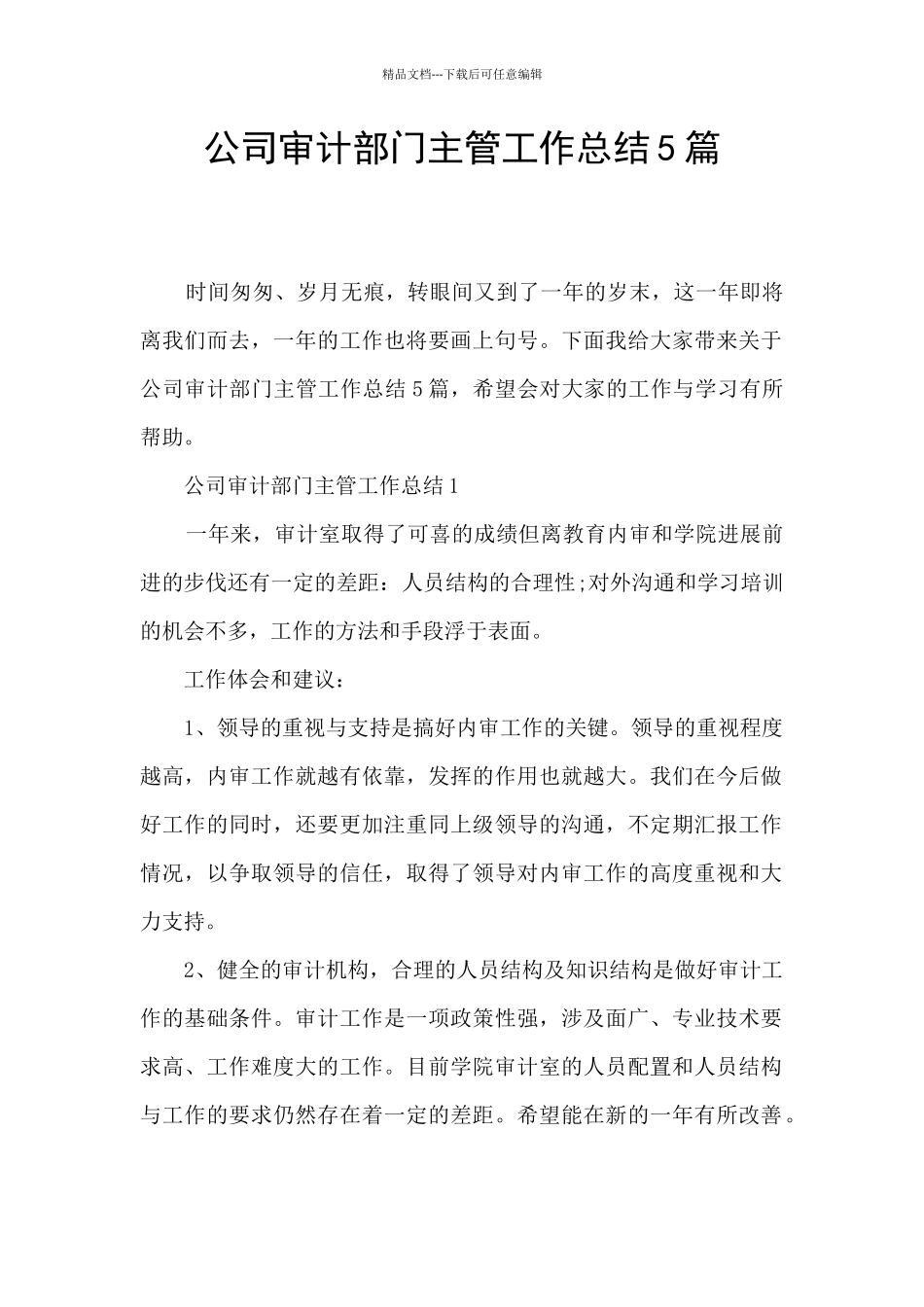 公司审计部门主管工作总结5篇_第1页