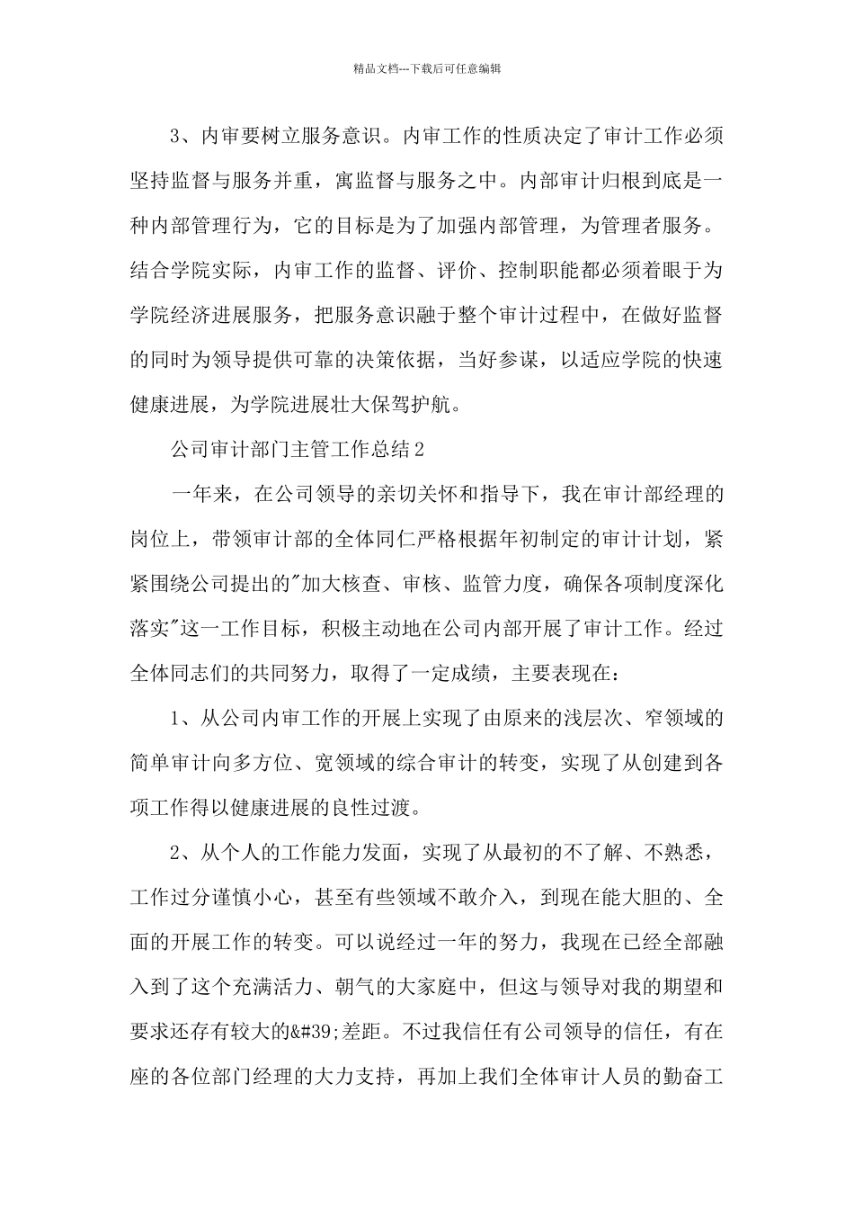 公司审计部门主管工作总结5篇_第2页