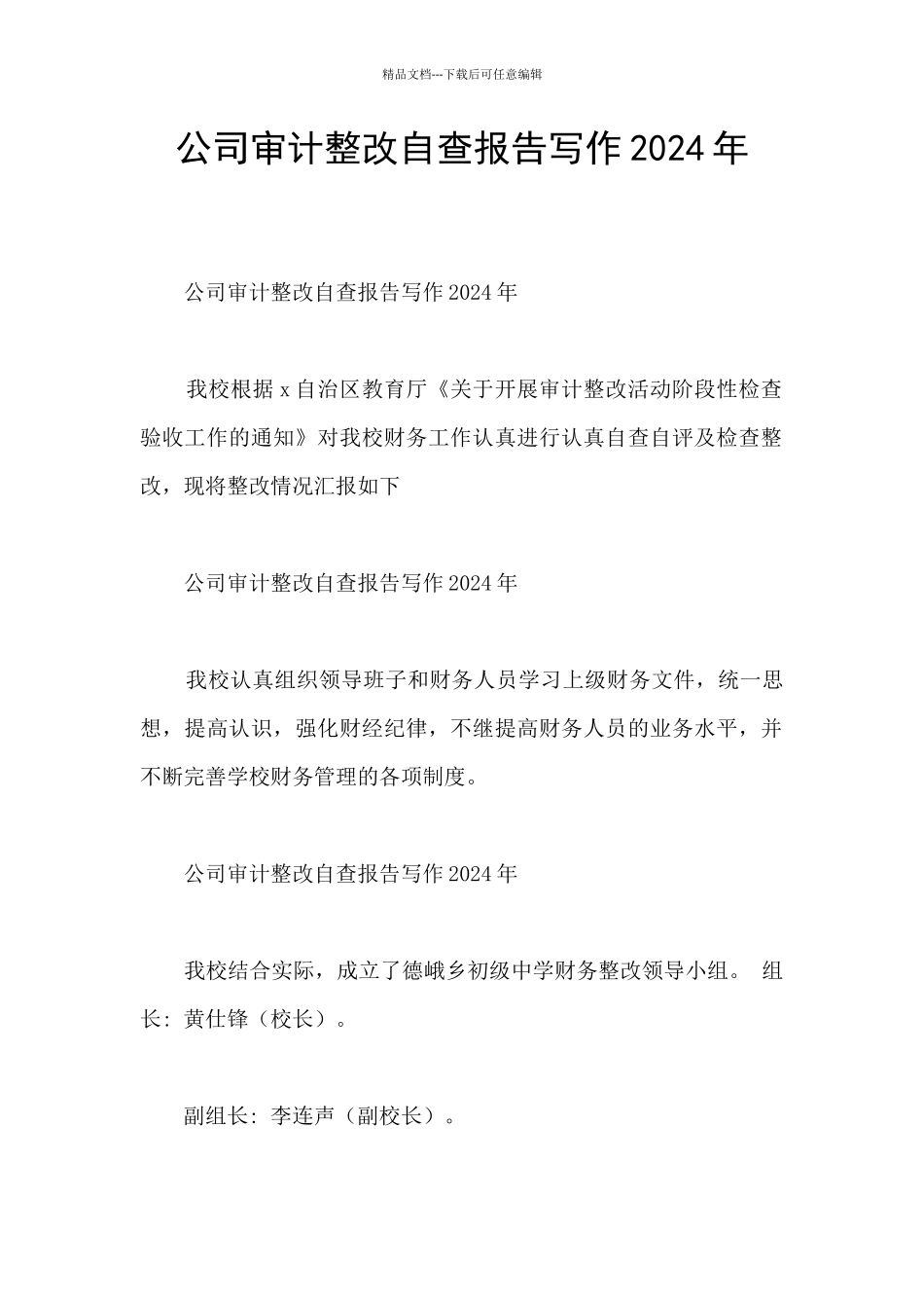 公司审计整改自查报告写作2024年_第1页