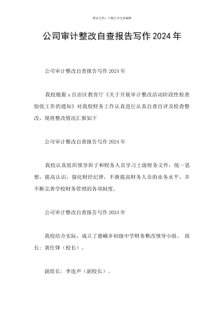 公司审计整改自查报告写作2024年