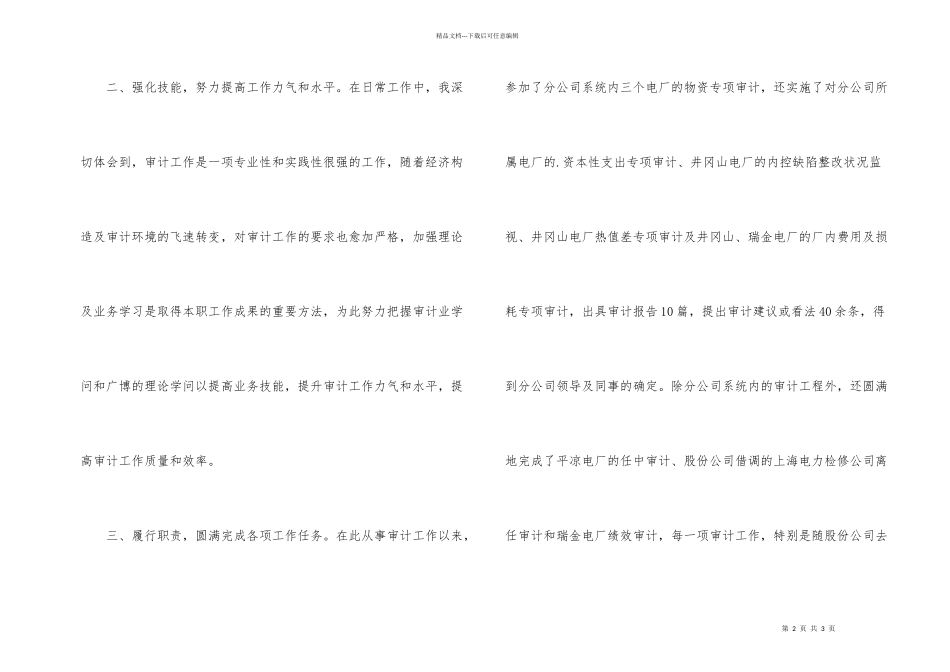 公司审计人员2024年工作总结_第2页