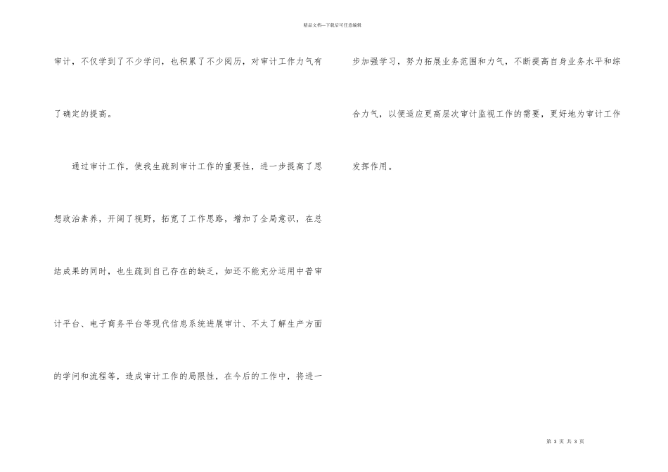 公司审计人员2024年工作总结_第3页