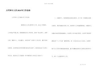 公司审计人员2024年工作总结
