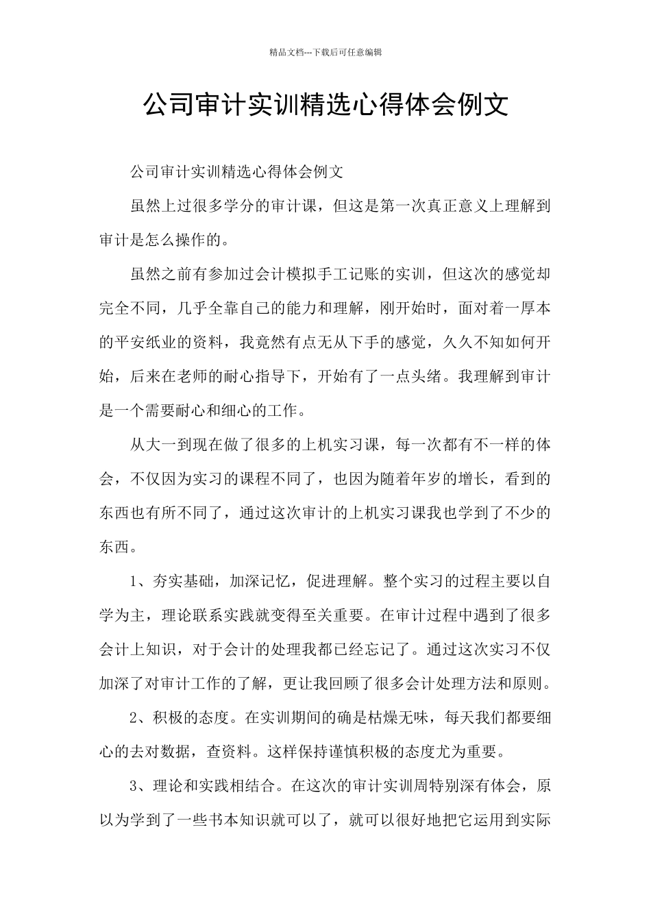 公司审计实训精选心得体会例文_第1页
