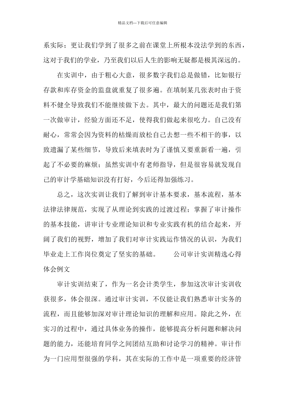 公司审计实训精选心得体会例文_第3页