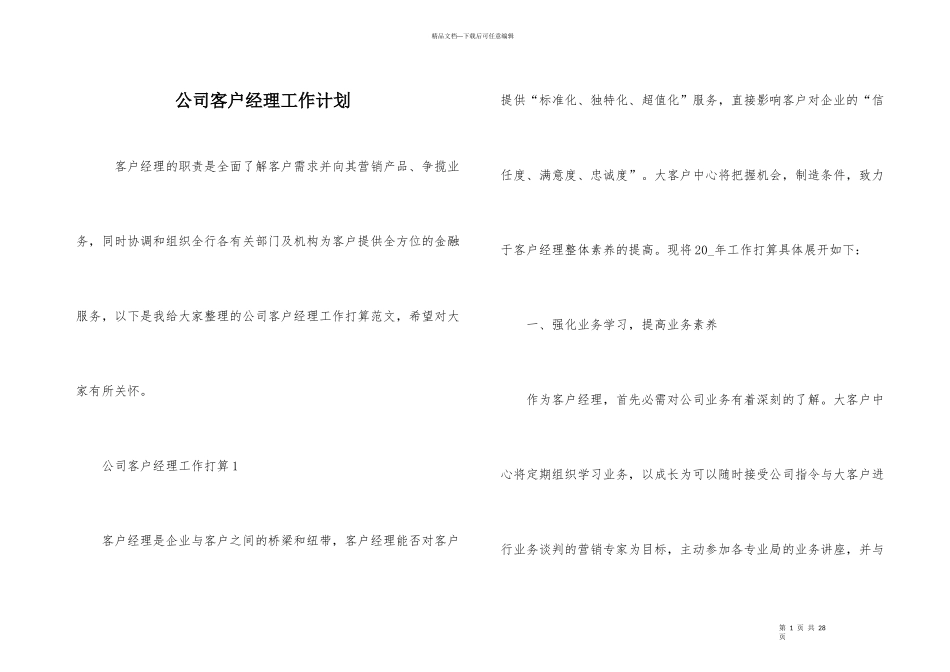 公司客户经理工作计划_第1页