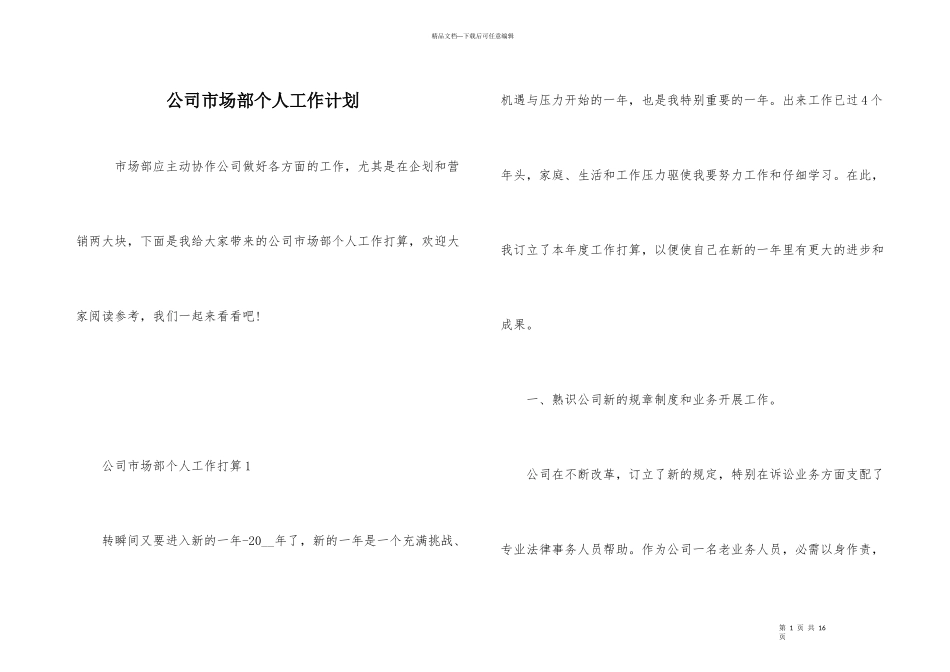 公司市场部个人工作计划_第1页