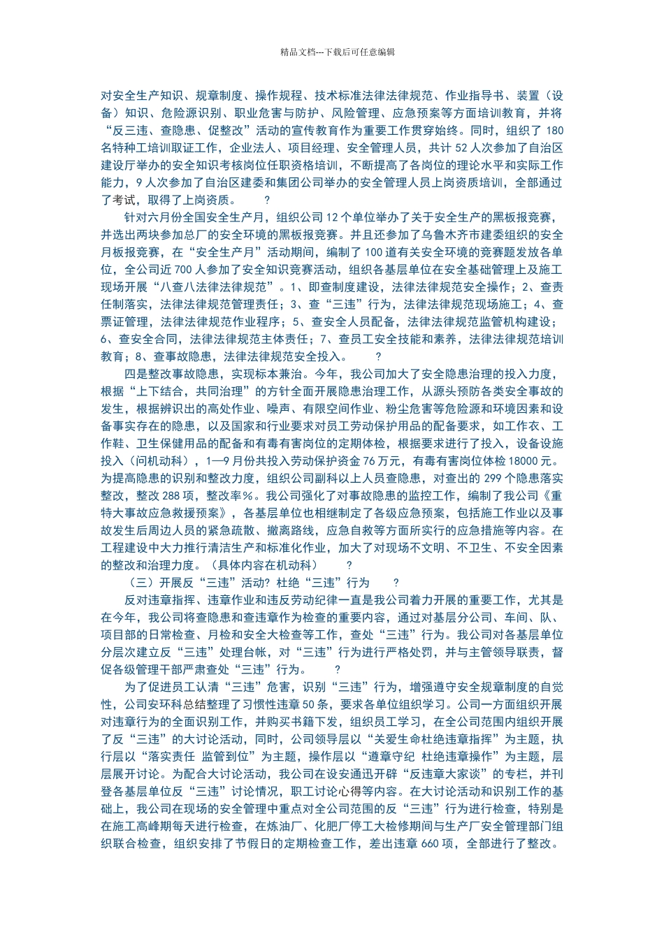 公司年度安全管理工作总结_第2页