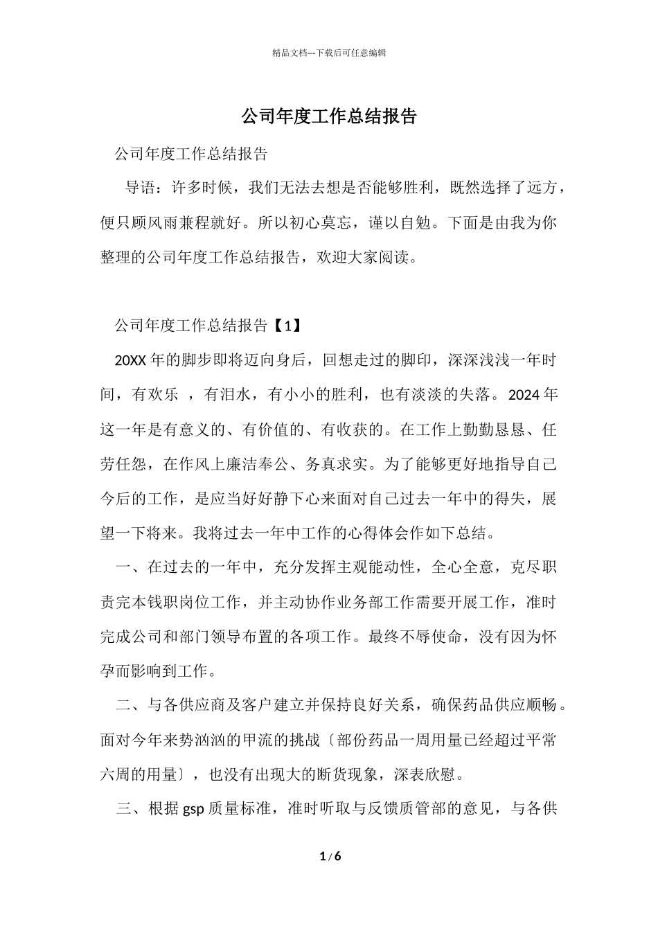 公司年度工作总结报告-5_第1页