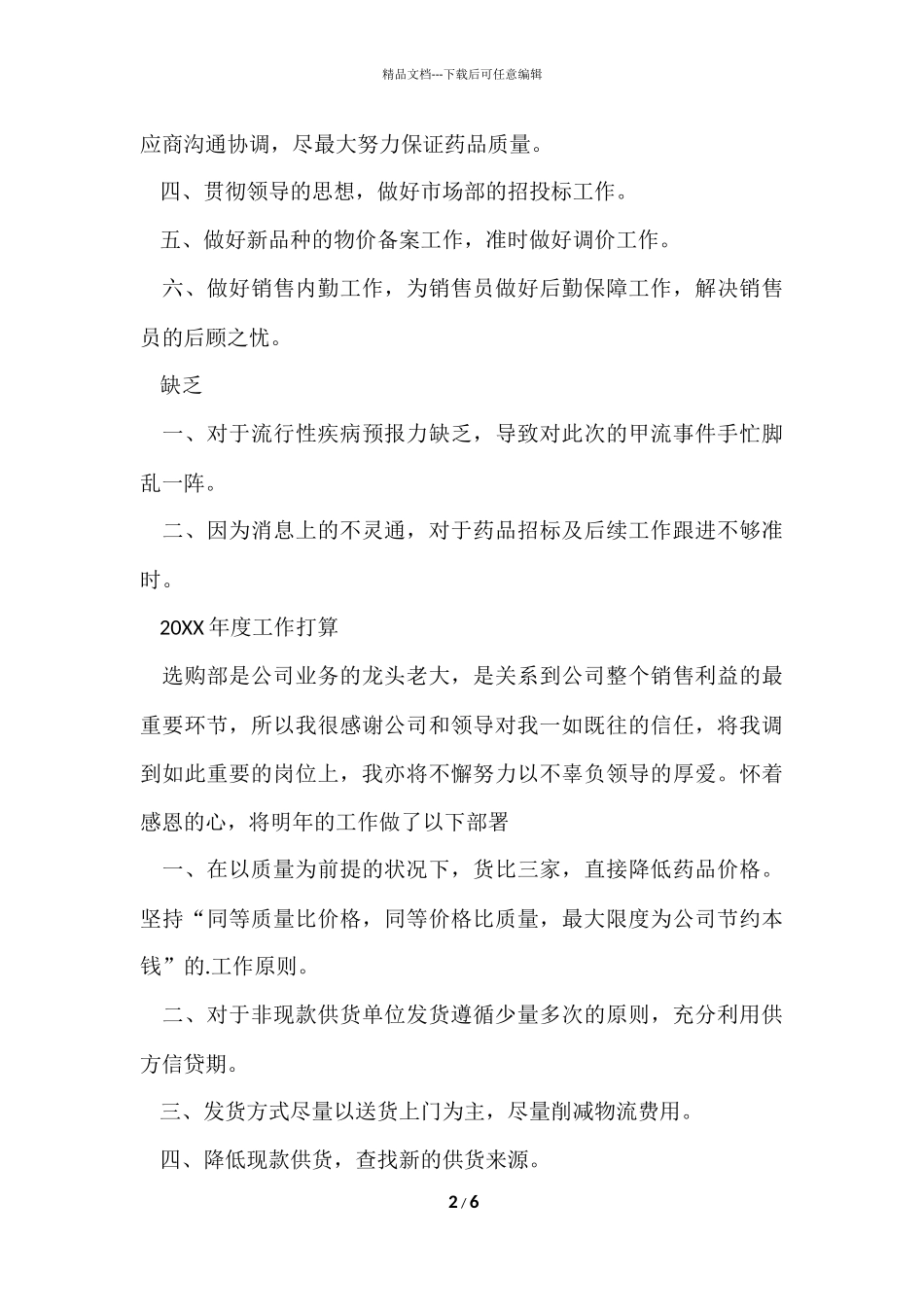 公司年度工作总结报告-5_第2页
