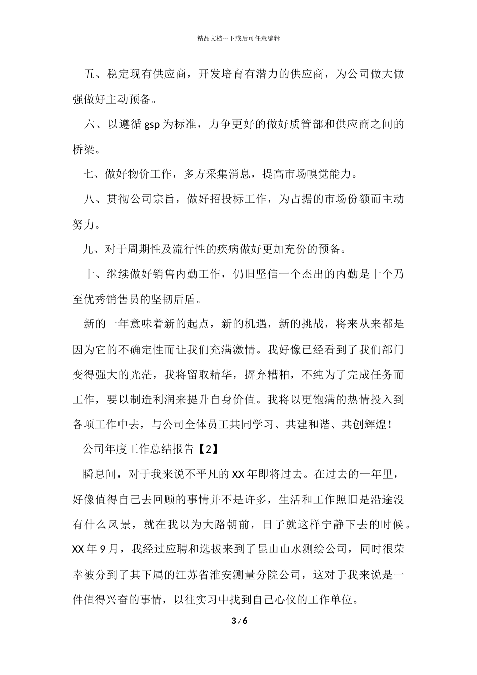 公司年度工作总结报告-5_第3页