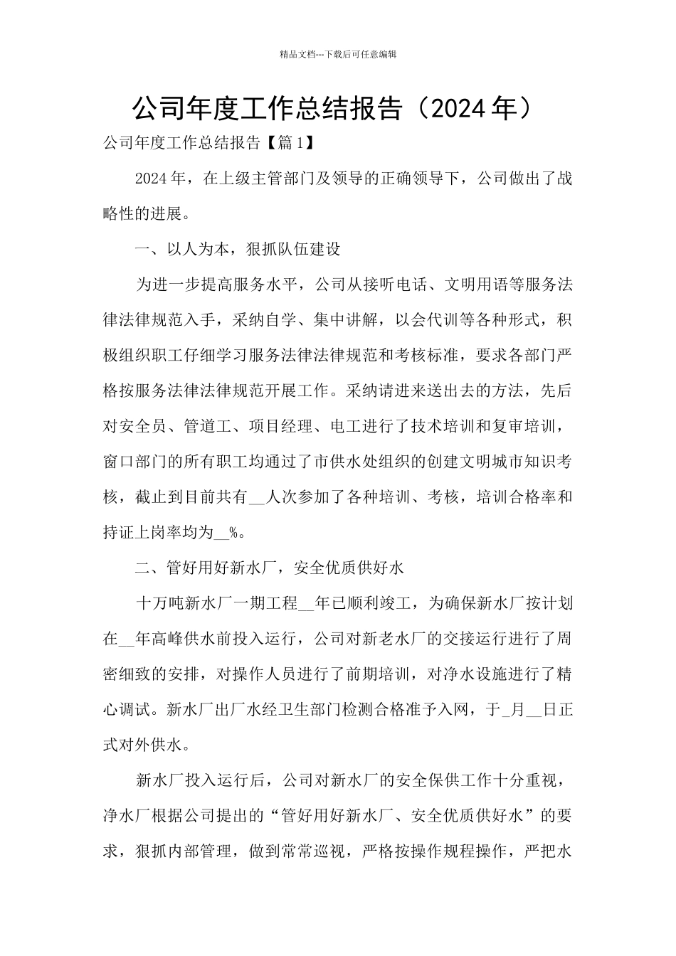 公司年度工作总结报告_第1页