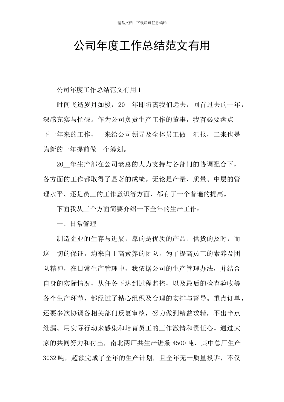 公司年度工作总结范文实用_第1页