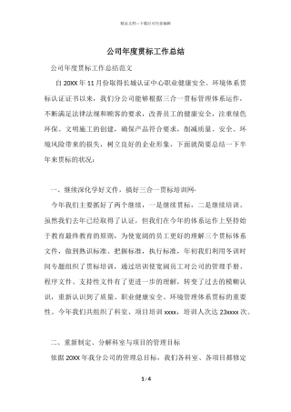 公司年度贯标工作总结