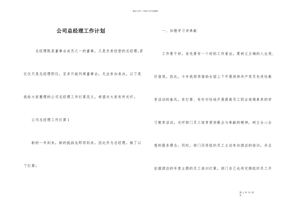 公司总经理工作计划_第1页