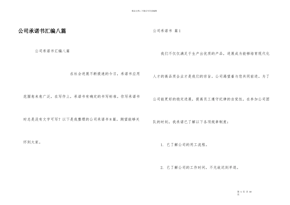 公司承诺书汇编八篇_第1页