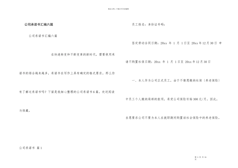 公司承诺书汇编六篇_第1页