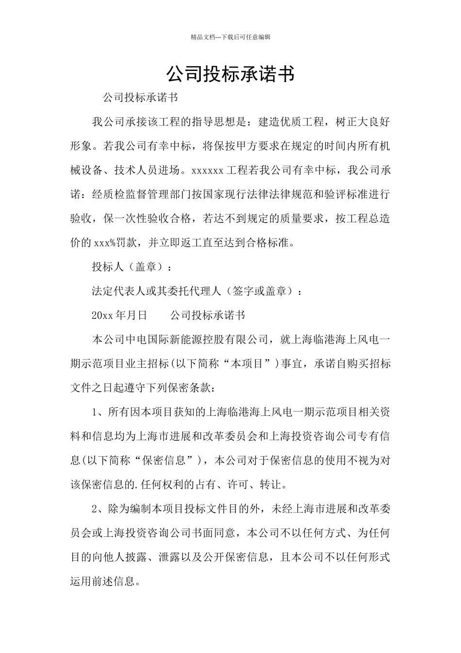 公司投标承诺书_第1页