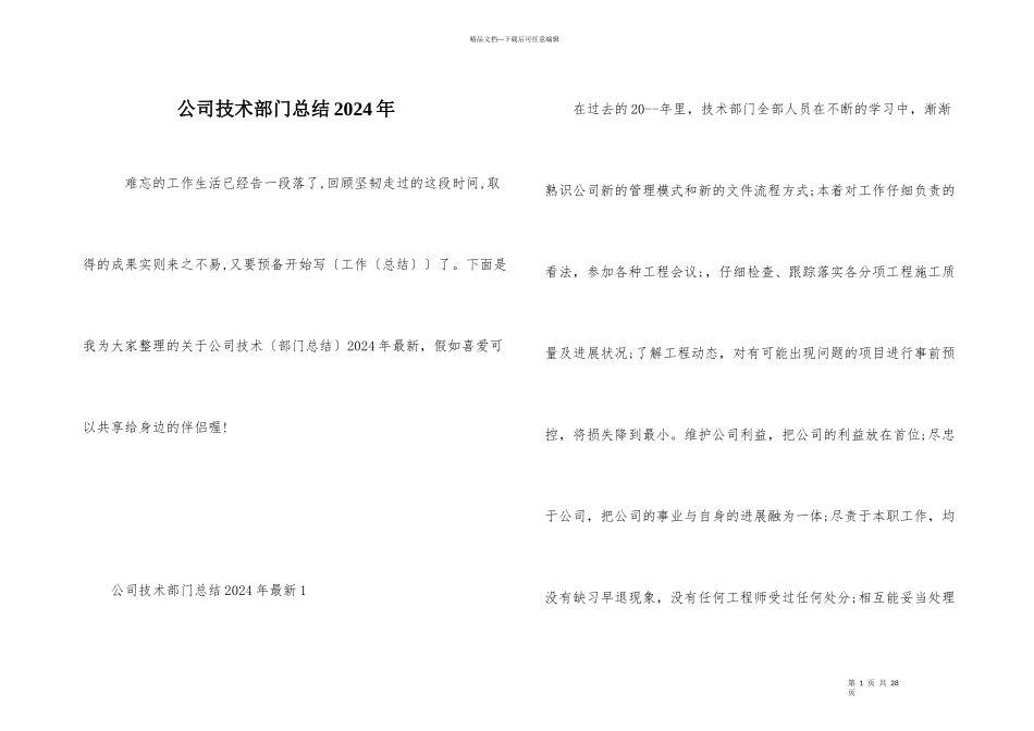 公司技术部门总结2024年_第1页