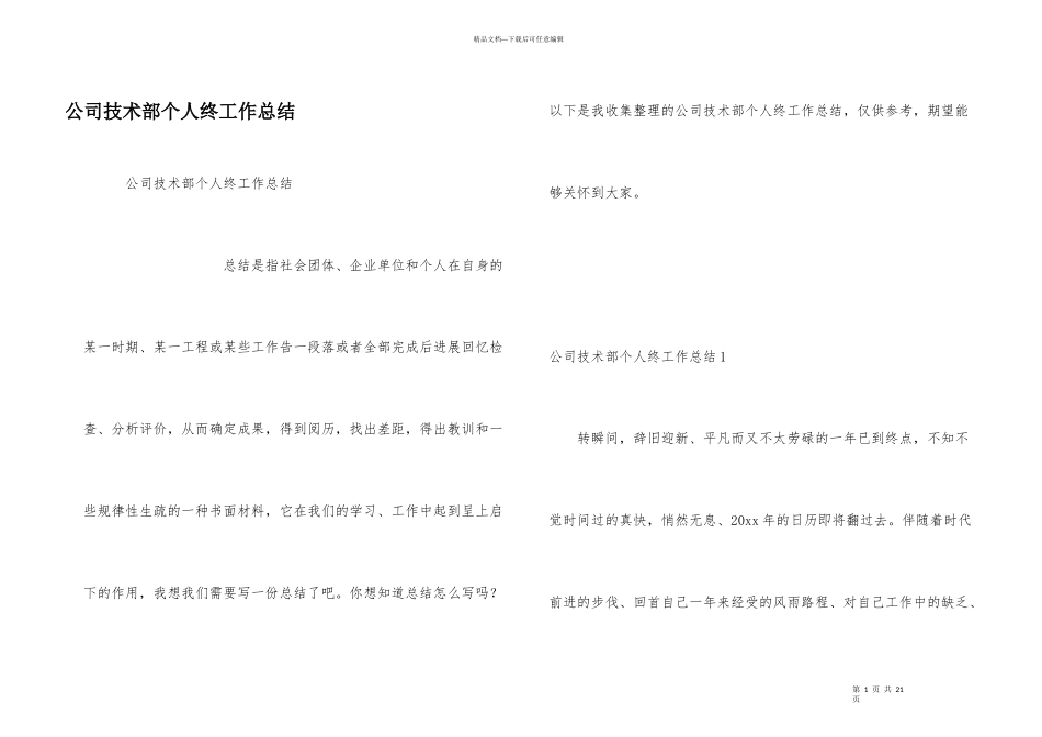公司技术部个人终工作总结_第1页