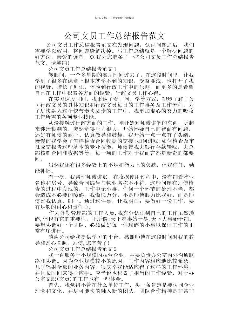 公司文员工作总结报告范文_第1页