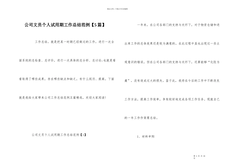 公司文员个人试用期工作总结范例_第1页