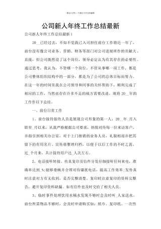 公司新人年终工作总结最新