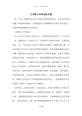 公司新人年终总结5篇