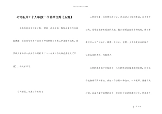 公司新员工个人年度工作总结优秀