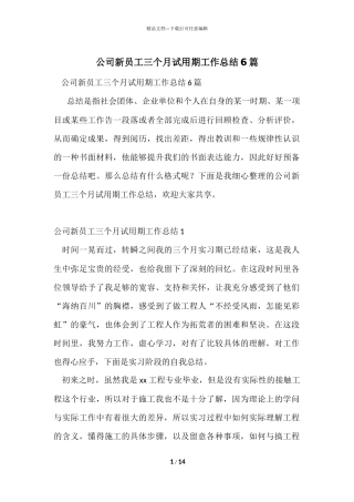 公司新员工三个月试用期工作总结6篇