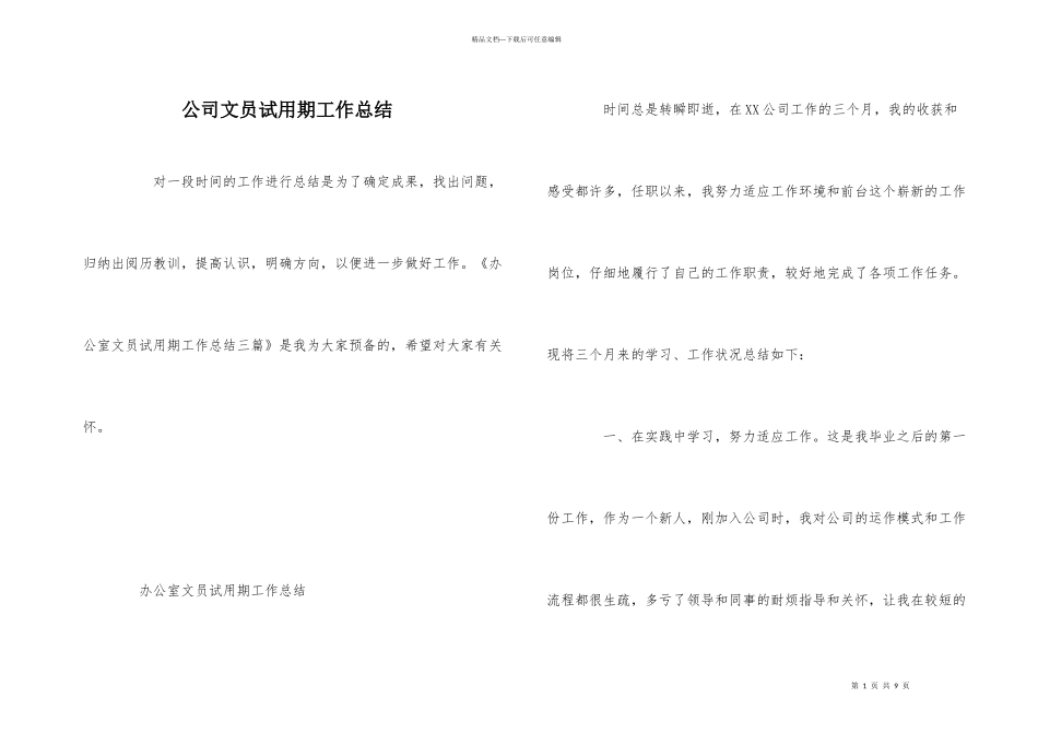 公司文员试用期工作总结_第1页