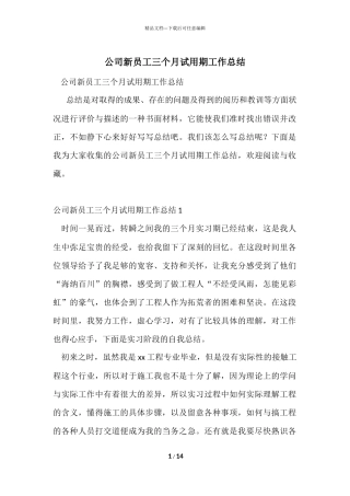 公司新员工三个月试用期工作总结