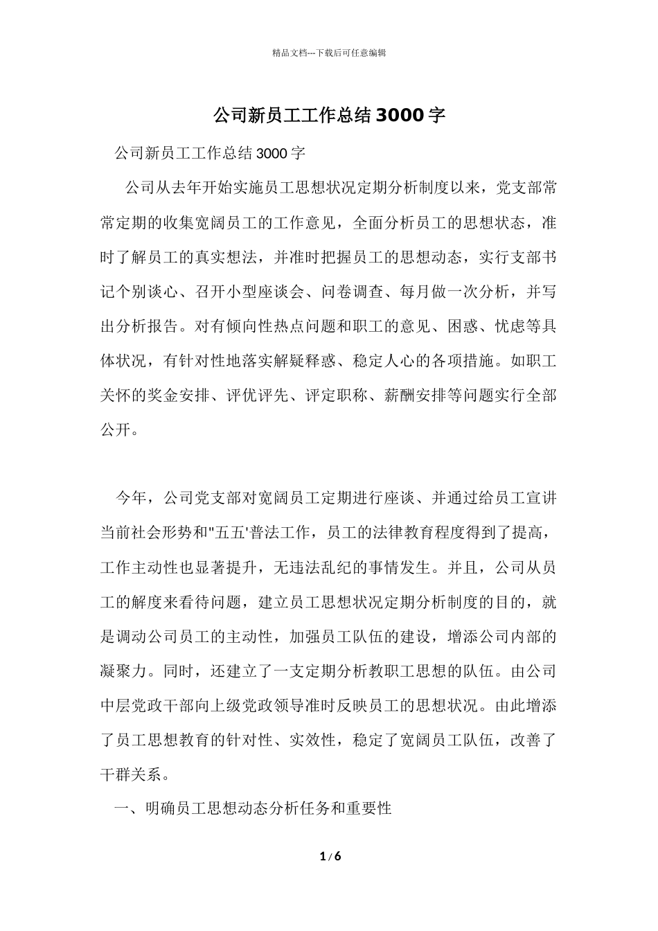 公司新员工工作总结3000字_第1页