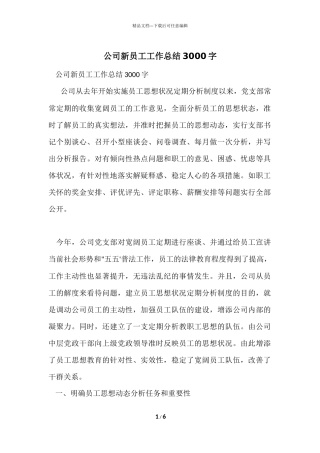 公司新员工工作总结3000字