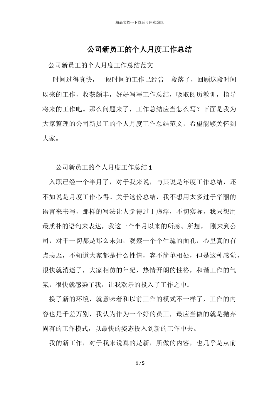 公司新员工的个人月度工作总结_第1页
