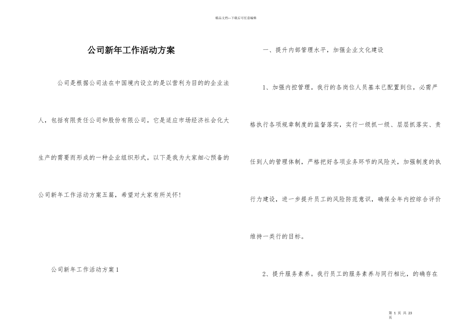 公司新年工作活动方案_第1页