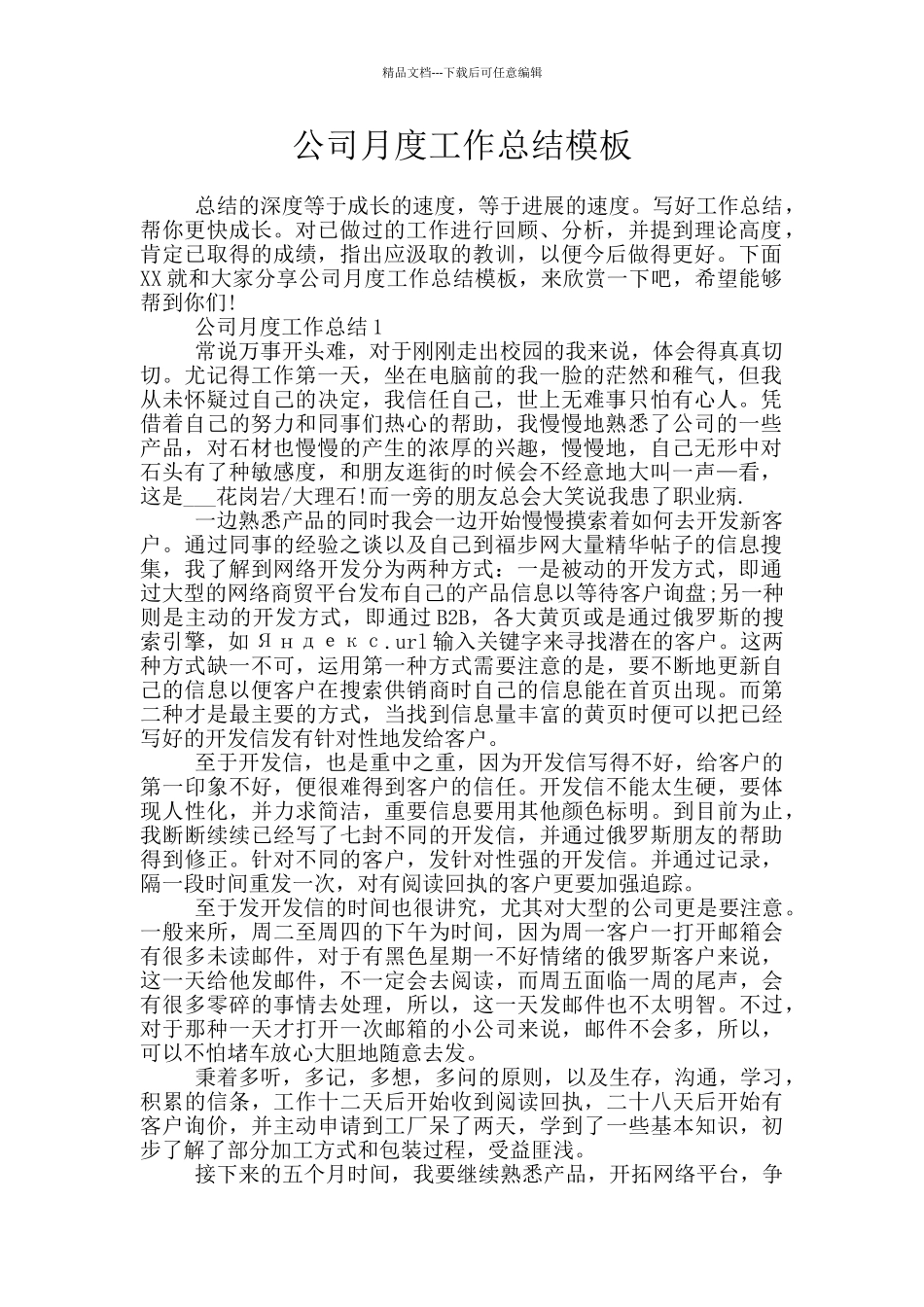 公司月度工作总结模板_第1页
