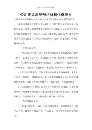 公司正风肃纪剖析材料优选范文