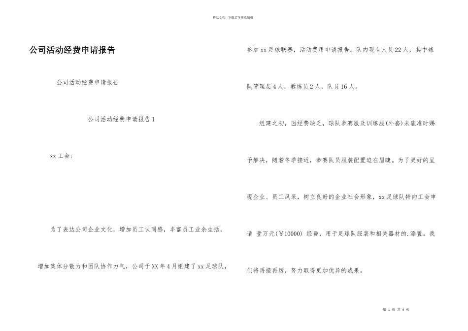 公司活动经费申请报告_第1页