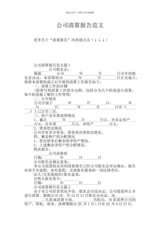 公司清算报告范文
