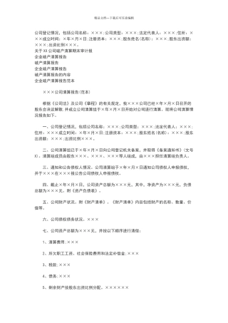 公司清算报告