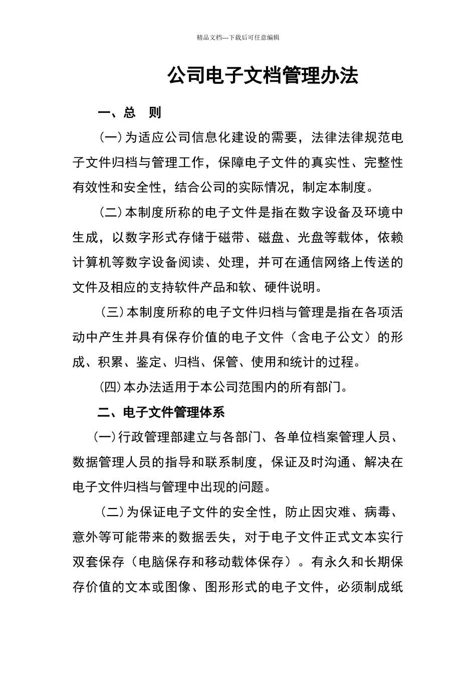 公司电子文档管理办法_第1页
