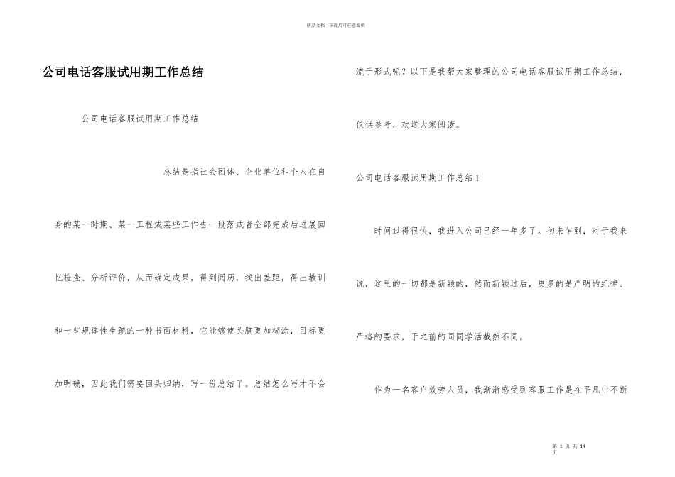 公司电话客服试用期工作总结_第1页