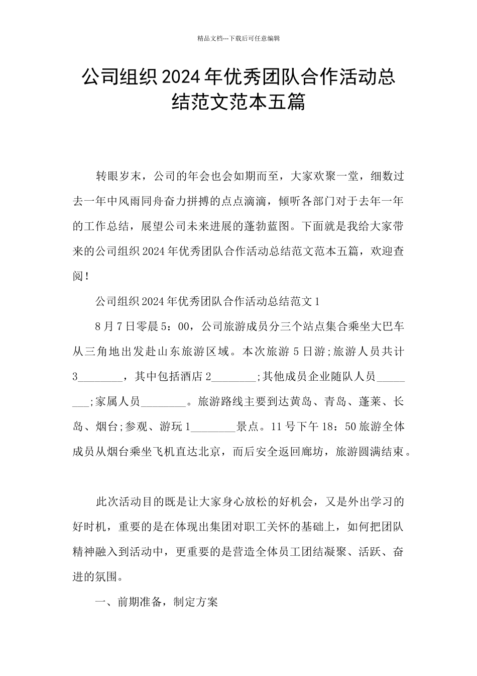 公司组织2024年优秀团队合作活动总结范文范本五篇_第1页