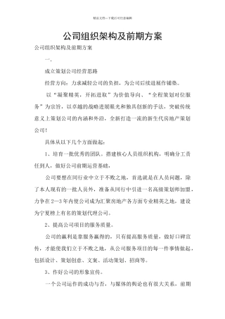公司组织架构及前期方案