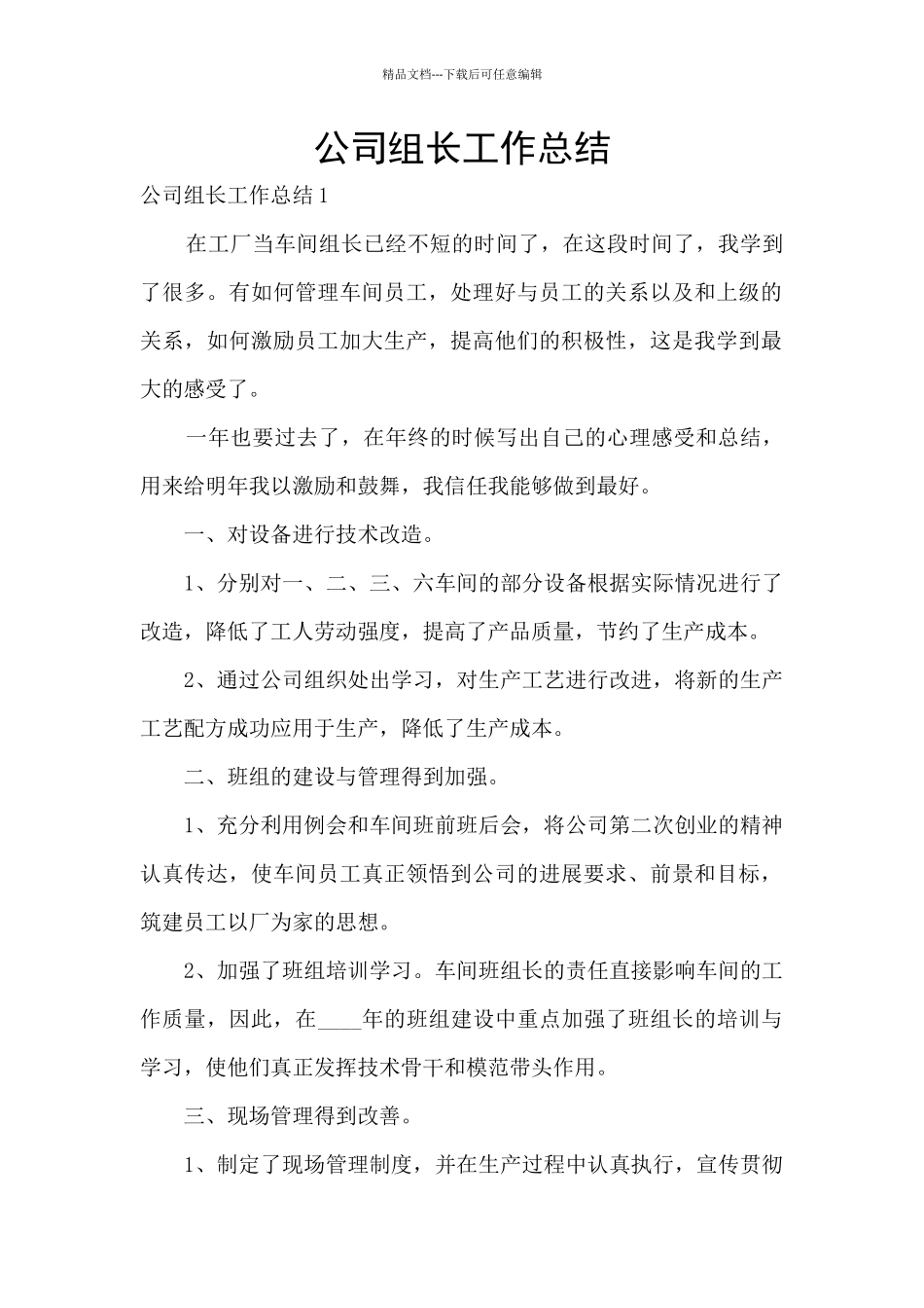 公司组长工作总结_第1页