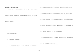 公司经理个人工作计划2024