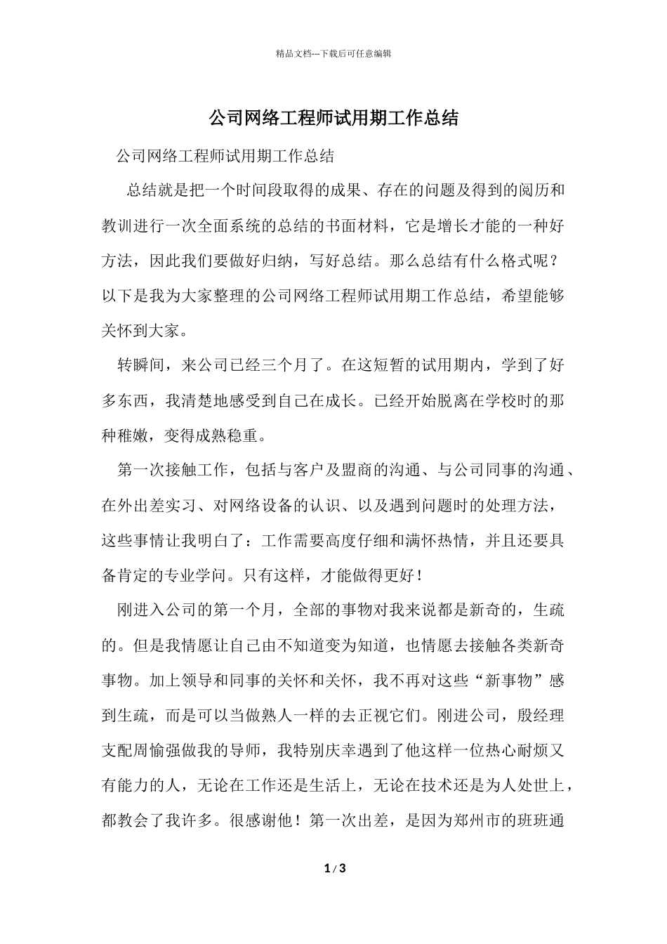 公司网络工程师试用期工作总结_第1页