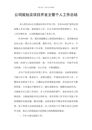 公司规划及项目开发主管个人工作总结
